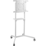 Опция к телевизору Cactus CS-ST1146WT