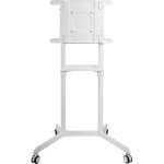 Опция к телевизору Cactus CS-ST1146WT