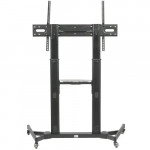 Опция к телевизору Digis DSM-P1060CL