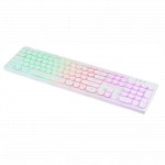 Клавиатура Oklick 420MRL White 1091227 (Проводная, Type-A)