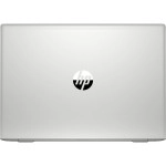 Ноутбук HP ProBook 455 G7 214C7ES_ПУ (15.6 ", FHD 1920x1080 (16:9), AMD, Ryzen 5, 8 Гб, SSD, 512 ГБ, AMD Radeon Vega)