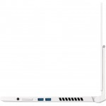 Мобильная рабочая станция Acer ConceptD 3 Ezel Pro CC314-72P-78Y4 NX.C5KER.002 (14, FHD 1920x1080, Intel, Core i7, 16, SSD)