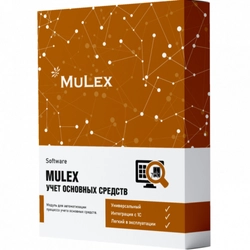 Софт MuLex Soft FA - Учет ОС от 10 до 30 лицензий Mulex FA - Учет ОС от 10 до 30 лицензий