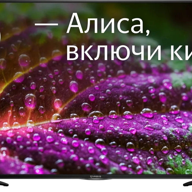 Телевизор Irbis 55U1YDX165BS2 (55 ", Smart TVЧерный)