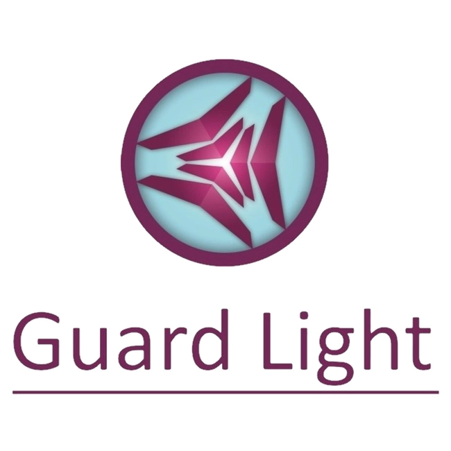 Софт Iron Logic GuardLight 5/500L - 5 контроллеров и 500 ключей