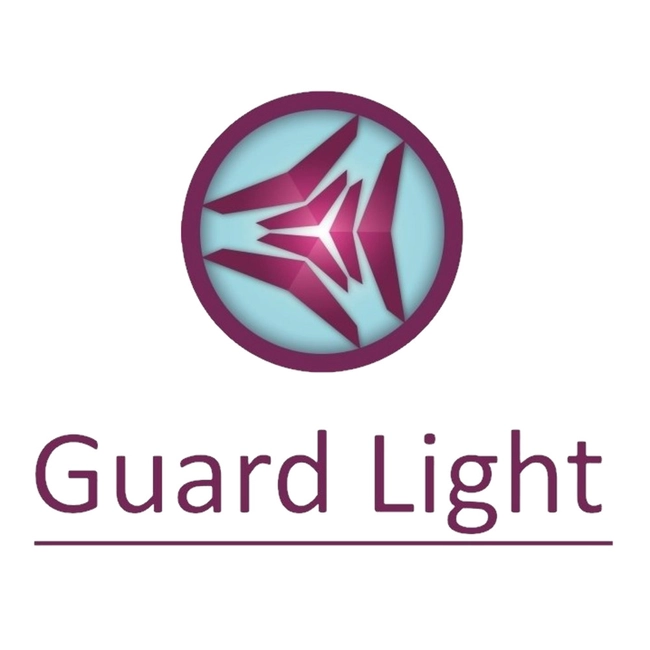 Софт Iron Logic GuardLight 10/500 - 10 контроллеров и 500 ключей