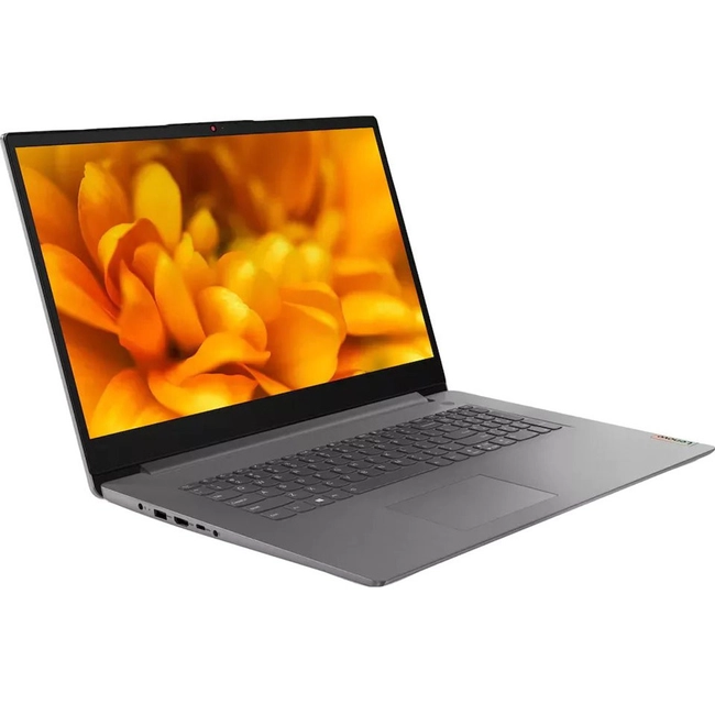 Ноутбук Lenovo IdeaPad 3 82H900NSRU (17.3 ", HD+ 1600х900 (16:9), Intel, Core i3, 8 Гб, SSD)