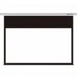 Экран Digis ELLIPSE DSEES-16904W_70