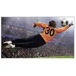 LED / LCD панель LG 49VL5G-M (49 ")