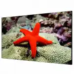 LED / LCD панель Hikvision DS-D2055LR-G (55 ")