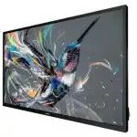 LED / LCD панель Philips Q-Line 65BDL3511Q (00/01) (65 ")