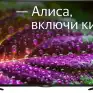 Телевизор Irbis 55U1YDX165BS2 (55 ", Smart TV, Черный)
