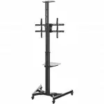 Опция к телевизору Digis DSM-P164C