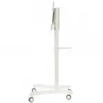 Опция к телевизору Digis DSM-P566