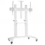Опция к телевизору Digis DSM-P7106C