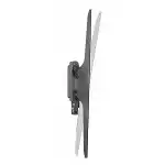 Опция к телевизору Digis DSM-P1096T