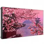 LED / LCD панель Lumien LMW4935LLRU (49 ")