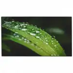 LED / LCD панель Dahua DHI-LS550UEH-UG (55 ")