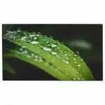 LED / LCD панель Dahua DHI-LS550UCM-UF (55 ")