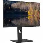 Монитор Dahua DHI-LM27-P301A (27 ", IPS, WQHD 2560x1440 (16:9), 75 Гц)