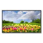 LED / LCD панель NEC MultiSync® X462HB 60003174 (46 ")