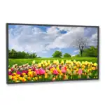 LED / LCD панель NEC MultiSync® X462HB 60003174 (46 ")