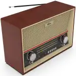 Аксессуары для смартфона Ritmix RPR-102 buk