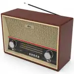 Аксессуары для смартфона Ritmix RPR-102 buk