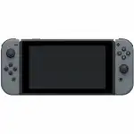 Игровая приставка Nintendo Switch Gray 045496452612