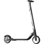 Ninebot KICKSCOOTER ES2 DG