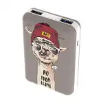 Внешний аккумулятор (Power Bank) Ritmix RPB-10007 Lama RPB-10007-Lama (10000 мАч, Коричневый)