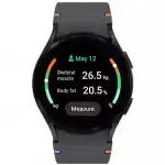 Samsung Galaxy Watch FE Black SM-R861NZKACIS (Смарт-часы)