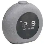 Портативная колонка JBL Horizon 2 8W JBLHORIZON2GRYRU (Серый)
