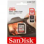 Флеш (Flash) карты SanDisk Ultra SDXC SDSDUN4-256G-GN6IN (256 ГБ)