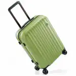 Сумка для ноутбука Xiaomi NINETYGO Elbe Luggage 20 Green (20)