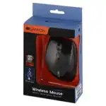 Мышь Canyon MW-01 CNS-CMSW01B (Бюджетная, Беспроводная)
