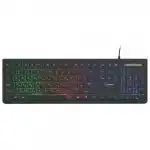 Клавиатура Gembird KB-250L (Проводная, USB)