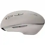 Мышь Canyon MW-21 CNS-CMSW21CL (Бюджетная, Беспроводная)