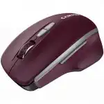 Мышь Canyon MW-21 CNS-CMSW21BR (Бюджетная, Беспроводная)