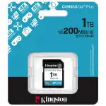 Флеш (Flash) карты Kingston Canvas Go Plus Gen4 C10 SDG4/1TB (1 ТБ)