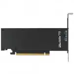 Видеокарта PNY RTX 2000 Ada Generation VCNRTX2000ADA-SB (16 ГБ)