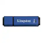 USB флешка (Flash) Kingston Digital 16Gb DataTraveler DTVP30DM/16GB (16 ГБ)
