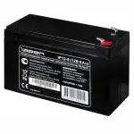 Сменные аккумуляторы АКБ для ИБП IPPON IP12-9 i669058 (12 В)