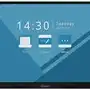 Интерактивная доска IQBoard LE065MD