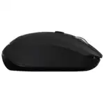 Мышь Acer OMR050 ZL.MCEEE.00B (Бюджетная, Беспроводная)