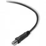 Кабель интерфейсный Belkin USB-A - USB-B (1.8 м) F3U154BT1.8M (USB Type A - USB Type B)