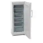 Морозильник INDESIT DSZ 4150.1 F157491