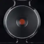 Варочная поверхность MAUNFELD EEHE.32.4B УТ000008362
