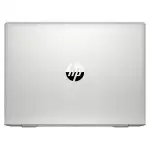 Ноутбук HP ProBook 445 G7 1F3K8EA_ПУ (14 ", FHD 1920x1080 (16:9), AMD, Ryzen 3, 8 Гб, SSD, 256 ГБ, AMD Radeon Vega)