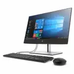 Моноблок HP ProOne 440 G6 205U4ES (23.8 ", Intel, Core i3, 10100T, 3.6, 8 Гб, HDD и SSD, 1 Тб, 128 Гб)